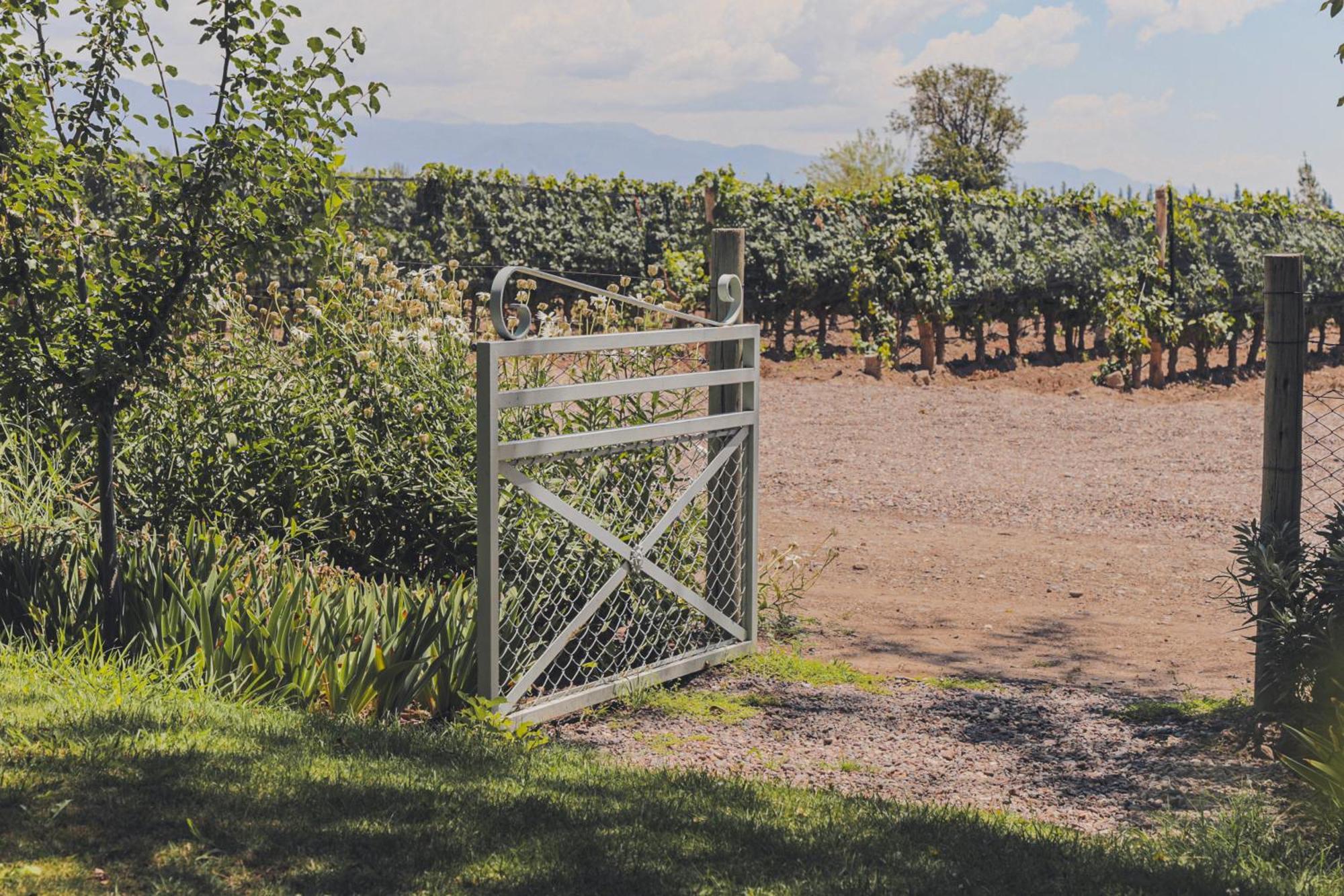 Enlace Wine House Lujan de Cuyo Kültér fotó