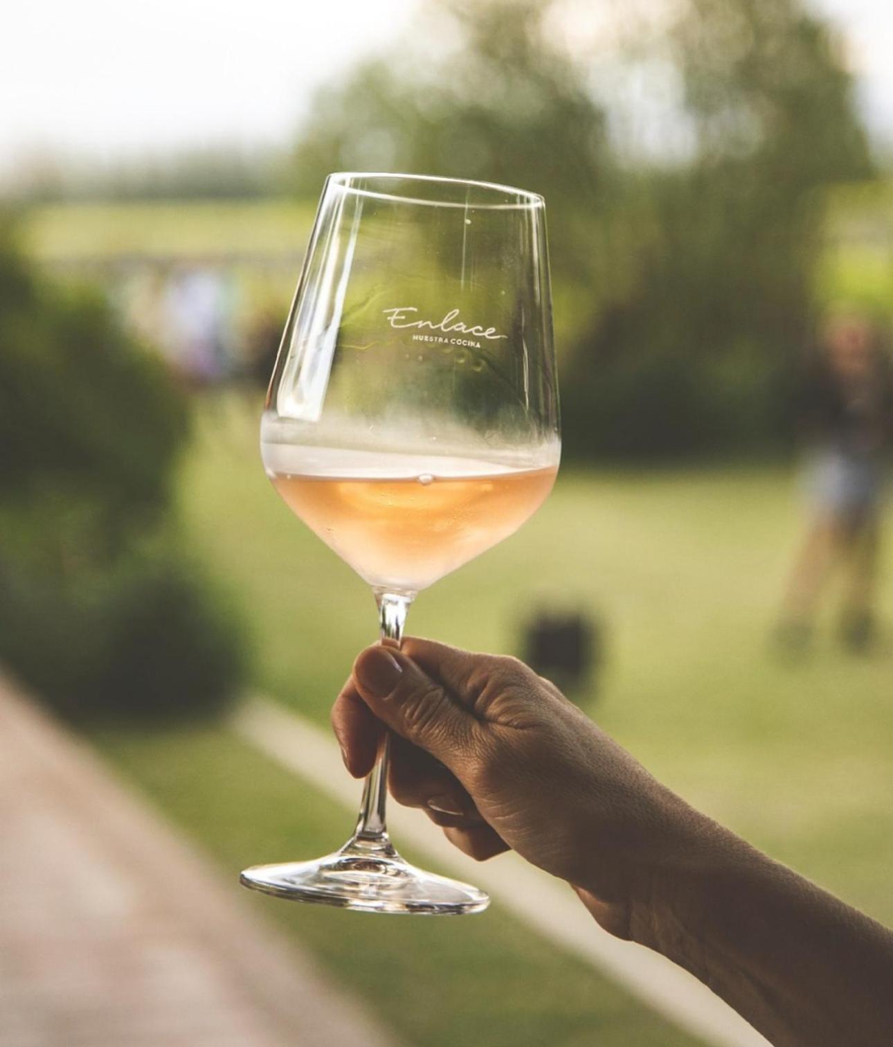 Enlace Wine House Lujan de Cuyo Kültér fotó